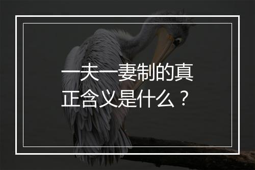 一夫一妻制的真正含义是什么？