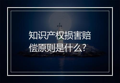 知识产权损害赔偿原则是什么?