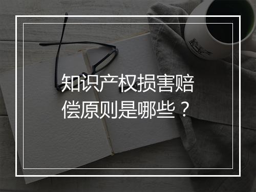 知识产权损害赔偿原则是哪些？