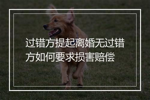 过错方提起离婚无过错方如何要求损害赔偿