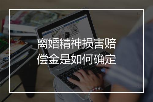 离婚精神损害赔偿金是如何确定