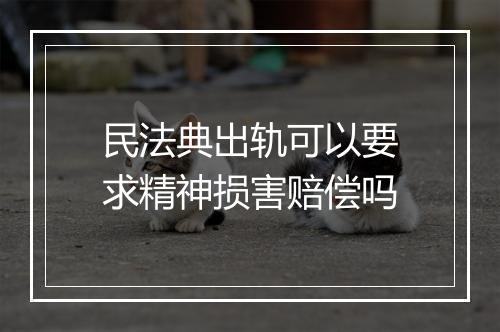 民法典出轨可以要求精神损害赔偿吗