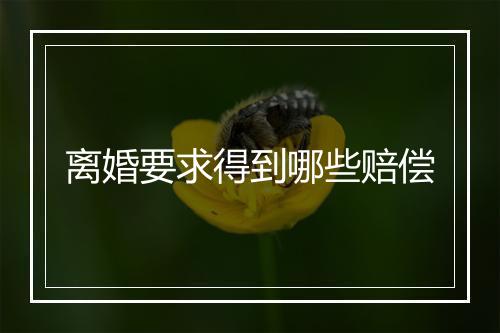 离婚要求得到哪些赔偿