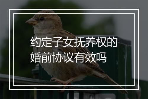 约定子女抚养权的婚前协议有效吗