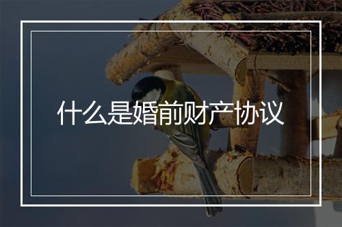 什么是婚前财产协议