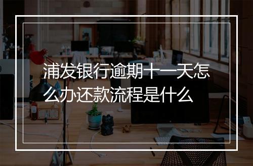 浦发银行逾期十一天怎么办还款流程是什么