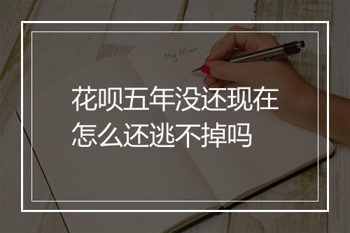 花呗五年没还现在怎么还逃不掉吗