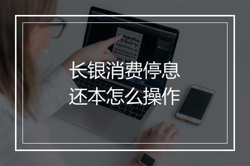 长银消费停息还本怎么操作