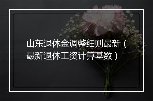 山东退休金调整细则最新（最新退休工资计算基数）