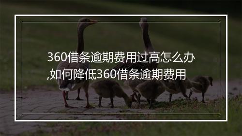 360借条逾期费用过高怎么办,如何降低360借条逾期费用