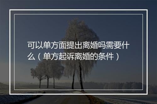 可以单方面提出离婚吗需要什么（单方起诉离婚的条件）