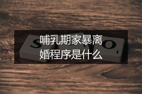 哺乳期家暴离婚程序是什么