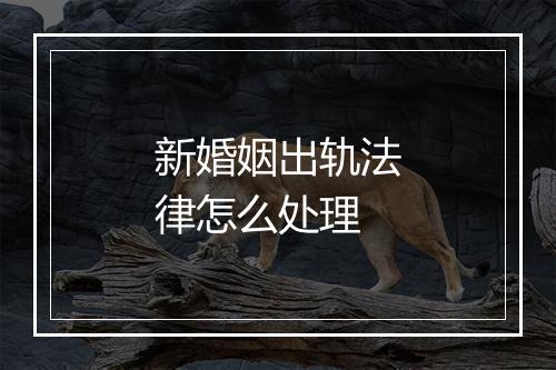 新婚姻出轨法律怎么处理