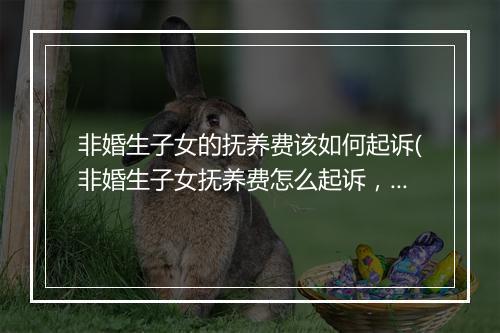 非婚生子女的抚养费该如何起诉(非婚生子女抚养费怎么起诉，需要什么条件)