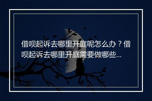 借呗起诉去哪里开庭呢怎么办？借呗起诉去哪里开庭需要做哪些准备工作？
