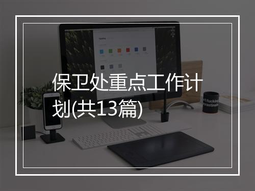 保卫处重点工作计划(共13篇)