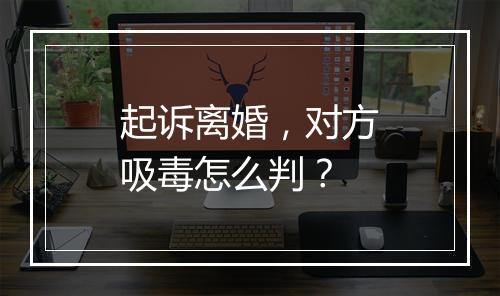 起诉离婚，对方吸毒怎么判？