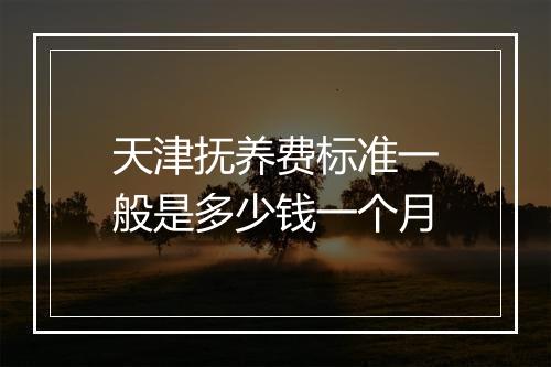 天津抚养费标准一般是多少钱一个月