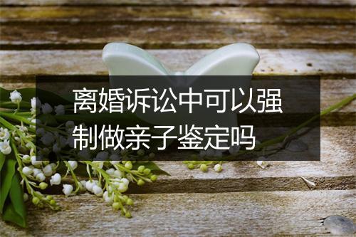 离婚诉讼中可以强制做亲子鉴定吗