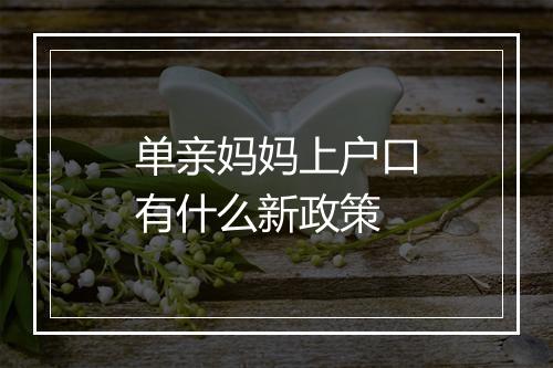 单亲妈妈上户口有什么新政策