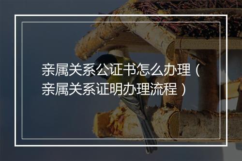亲属关系公证书怎么办理（亲属关系证明办理流程）