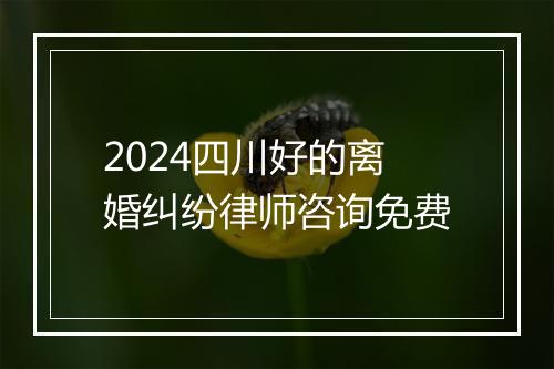 2024四川好的离婚纠纷律师咨询免费