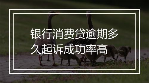 银行消费贷逾期多久起诉成功率高