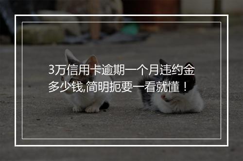 3万信用卡逾期一个月违约金多少钱,简明扼要一看就懂！