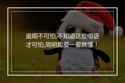 逾期不可怕,不知道这些电话才可怕,简明扼要一看就懂！
