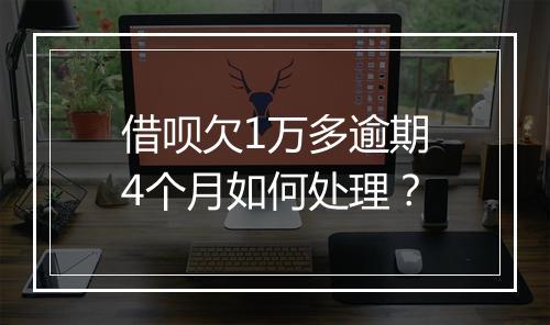 借呗欠1万多逾期4个月如何处理？