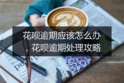 花呗逾期应该怎么办，花呗逾期处理攻略