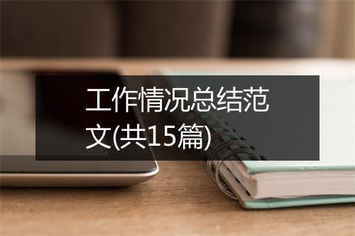 工作情况总结范文(共15篇)