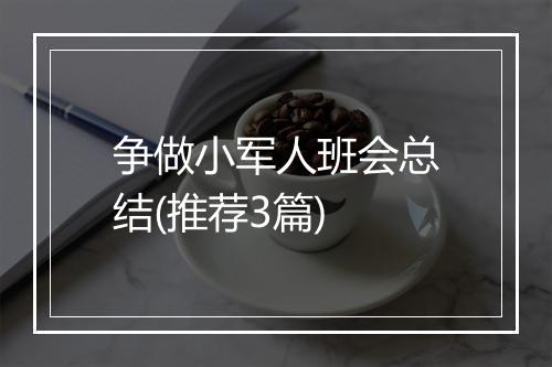 争做小军人班会总结(推荐3篇)