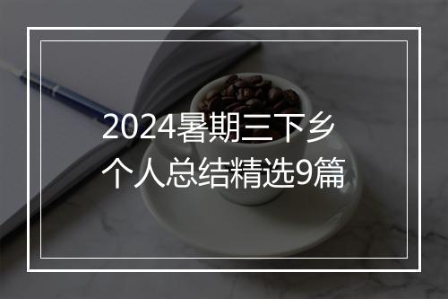 2024暑期三下乡个人总结精选9篇
