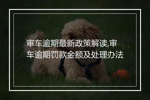 审车逾期最新政策解读,审车逾期罚款金额及处理办法