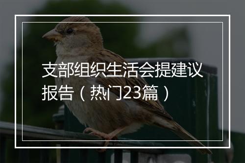 支部组织生活会提建议报告（热门23篇）