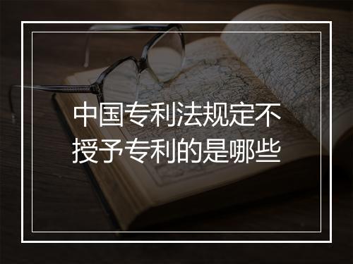中国专利法规定不授予专利的是哪些