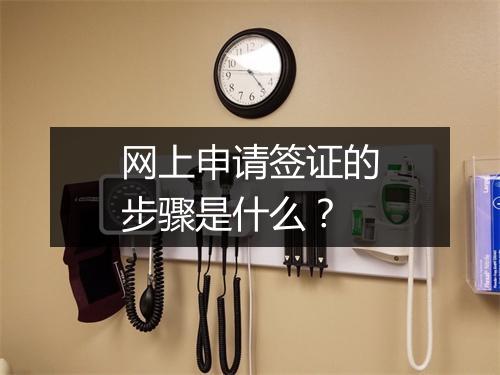 网上申请签证的步骤是什么？