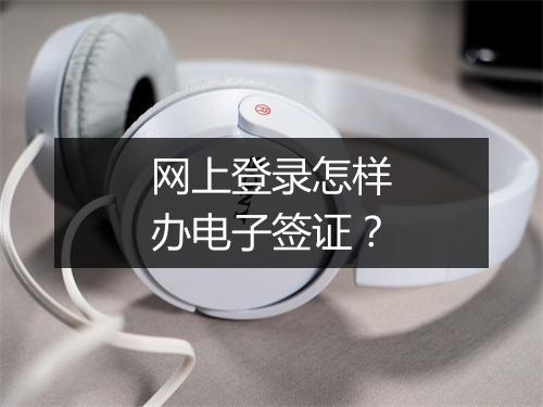 网上登录怎样办电子签证？