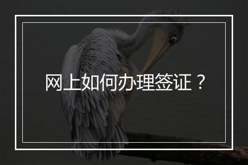 网上如何办理签证？