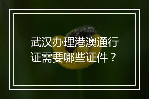 武汉办理港澳通行证需要哪些证件？