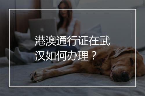 港澳通行证在武汉如何办理？