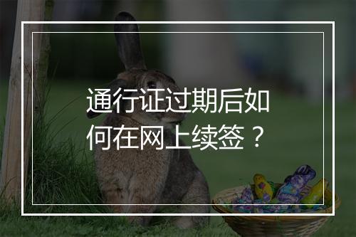 通行证过期后如何在网上续签？