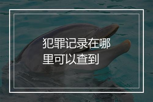 犯罪记录在哪里可以查到