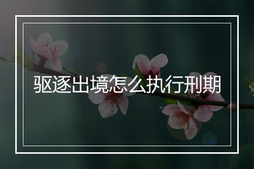 驱逐出境怎么执行刑期