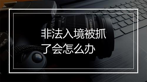 非法入境被抓了会怎么办