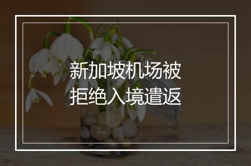 新加坡机场被拒绝入境遣返