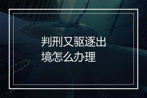 判刑又驱逐出境怎么办理