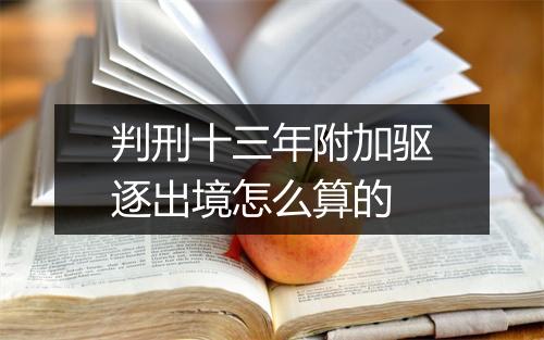 判刑十三年附加驱逐出境怎么算的