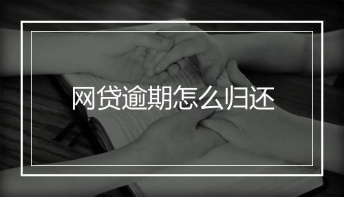 网贷逾期怎么归还